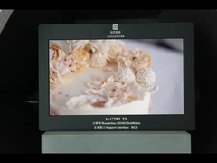 10,1 PULGADAS 1024X600