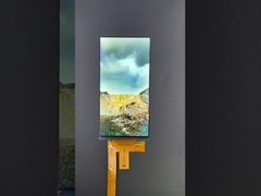 6 pulgadas 1080 * 2160 Resolución LCD TFT módulo MIPI Interfaz de conducción IC HX8399C