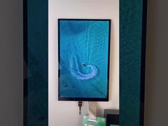 10.1 Tipo de barra TFT de 1 pulgada Display 1200*1920 Resolución Interfaz MIPI 1000cd/M2