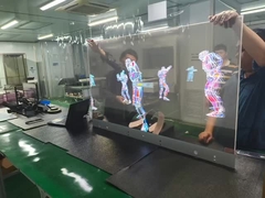 Módulo de pantalla AMOLED