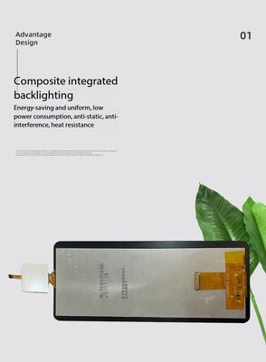 6.8 inch IPS TFT LCD Module with 480RGBx1280 Resolution and MIPI Interface