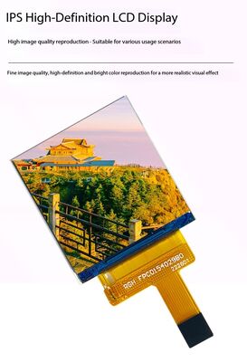 Pantalla IPS TFT de 1.54 pulgadas con resolución de 240x240, interfaz RGB y brillo de 500 nits